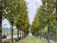 삼천포 가는길…….. | 보배드림 베스트글