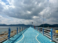 광암해수욕장….. | 보배드림 베스트글