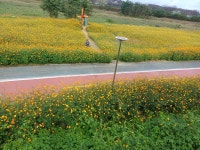 꼬치가 아주 그냥 | 보배드림 베스트글