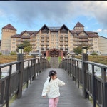 울 딸냄 꽁무니 힘들어요 ㅡㅡ; | 보배드림 베스트글