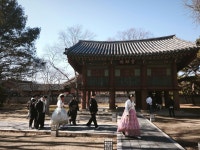 전주 한옥마을 오늘 직찍 jpg | 보배드림 베스트글