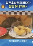 중국 항저우 회전초밥 근황 | 보배드림 베스트글