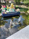 황지연못에서 산책중 | 보배드림 베스트글
