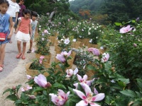 [문화공연소개] 8월, 진정한 휴&락(休&樂)여행을 떠나다. | 보배드림 보배드림이야기