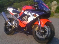 CBR 929 RR | 보배드림 오토바이/자전거