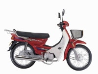 대림 시티백 VS 혼다 로우 드림 비교.. | 보배드림 오토바이/자전거