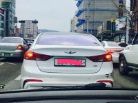 아네시스~~~ | 보배드림 베스트글