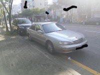 마르샤! | 보배드림 직찍/특종발견