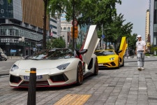 간만에 도산대로! | 보배드림 베스트글