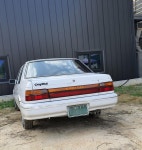 캐피탈 | 보배드림 직찍/특종발견