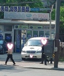 오늘 본 플라잉스퍼 | 보배드림 직찍/특종발견