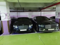 황금동 태왕아너스아파트에서 롤스로이스 스펙터를 봤습니다 ㅎㅎ | 보배드림 직찍/특종발견