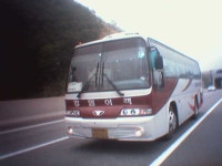 대관령에서 찍은 강원여객 | 보배드림 직찍/특종발견