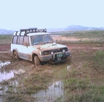 애니카로 탈출 | 보배드림 직찍/특종발견