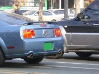 길가다가,,, | 보배드림 직찍/특종발견