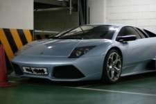 소한마리 | 보배드림 직찍/특종발견