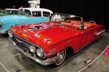 Sydney Tatto expo | 보배드림 직찍/특종발견