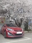 프로시드~~ | 보배드림 베스트글