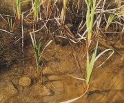 미쳐버린 한국 미술계 근황 | 보배드림 신유머/이슈/움짤