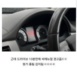 재규어를 구매한 영국 유튜버 | 보배드림 신유머/이슈/움짤
