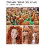 아일랜드의 빨간머리 축제 | 보배드림 신유머/이슈/움짤