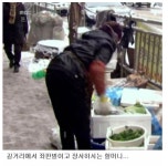 길거리 야채파는 할머니들의 진실 | 보배드림 신유머/감동/이슈