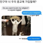 내 종교에 가입할래? | 보배드림 신유머/이슈/움짤