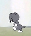 톰과 제리 실사 | 보배드림 신유머/이슈/움짤