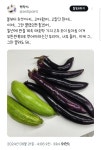 텃밭 또는 주말 농장 해본 사람만 아는 고통 | 보배드림 신유머/이슈/움짤