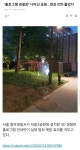 홀로그램 경찰관..나타난 공원범죄 22% 줄었다 | 보배드림 신유머/이슈/움짤