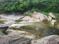 강원도 계곡 실시간 | 보배드림 신유머/이슈/움짤