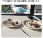 친구랑 카페왔는데 뷰가 너무 부담스러워 | 보배드림 신유머/이슈/움짤