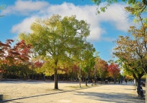 전주 덕진공원의 눈물: 보존 외면한 삽질 행정에 대한 여러분의 생각은? (덕진공원 같은공간... 덕진공원의 눈물: 보존 외면한 삽질 행정에 대한... 