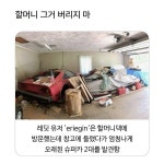 할머니 그거 버리지마 | 보배드림 신유머/이슈/움짤