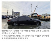서해안 바닷가에서 자주 일어난다는 일 | 보배드림 신유머/이슈/움짤