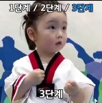 태권도 하는 세계의 아이들 | 보배드림 신유머/이슈/움짤