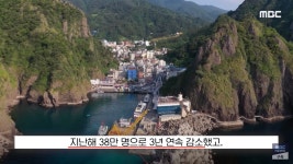 을릉도 바가지 요금등등 이후 근황 | 보배드림 신유머/이슈/움짤