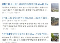 돔 | 보배드림 신유머/이슈/움짤
