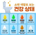 소변 색깔로 보는 건강상태 | 보배드림 신유머/이슈/움짤