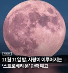 오늘 밤 스트로베리 문 관측 예고 | 보배드림 신유머/이슈/움짤