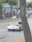 한국 있는 테슬라 택시들 | 보배드림 신유머/이슈/움짤