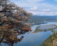 강원도 1억벌려고 춘천시 붕어섬 중국업체에 개발하게 해준 결과.. | 보배드림 신유머/이슈/움짤