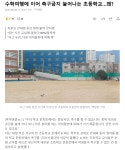 수학여행에 이어 축구금지 늘어나는 초등학교…왜? | 보배드림 신유머/이슈/움짤