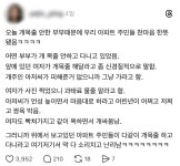 개 목줄 안 한 부부 때문에...한마음 한뜻이 된 아파트 | 보배드림 베스트글