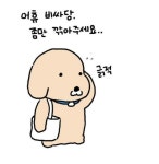 사과 | 보배드림 신유머/이슈/움짤