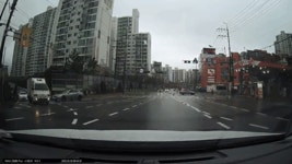 횡단보도를 건너는 방법.gif | 보배드림 베스트글