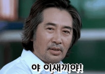 날강도 날도둑놈 주요소놈들 | 보배드림 신유머/이슈/움짤