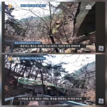 대구 팔공산 계곡...무속 기도터 철거 논란 | 보배드림 신유머/이슈/움짤
