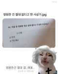 영원한 건 절대 없다고 한 사상가 | 보배드림 신유머/이슈/움짤