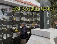 최초의 국위선양 | 보배드림 신유머/이슈/움짤